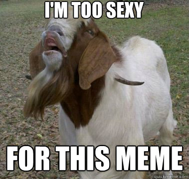 i'm too sexy for this meme  sexy goat