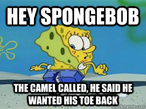 hey spongebob the camel called, he said he wanted his toe back  