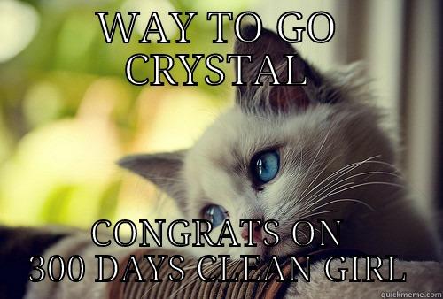 WAY TO GO CRYSTAL CONGRATS ON 300 DAYS CLEAN GIRL First World Problems Cat
