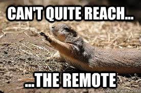 Can't quite reach... ...the remote - Can't quite reach... ...the remote  Lazy Prairie Dog