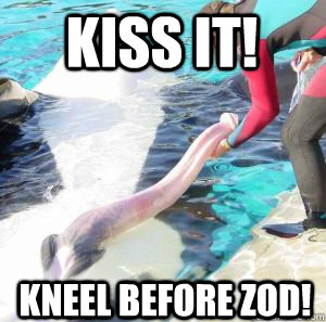 Kiss it! Kneel before zod!   Whale Penis