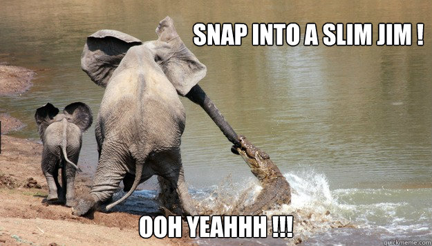 Snap into a Slim Jim ! OOH YEAHHH !!! - Snap into a Slim Jim ! OOH YEAHHH !!!  Nature snack