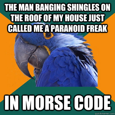 The man banging shingles on the roof of my house just called me a paranoid freak In Morse Code  Paranoid Parrot