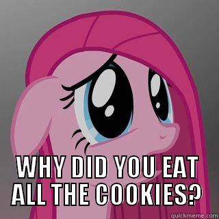  WHY DID YOU EAT ALL THE COOKIES? Misc