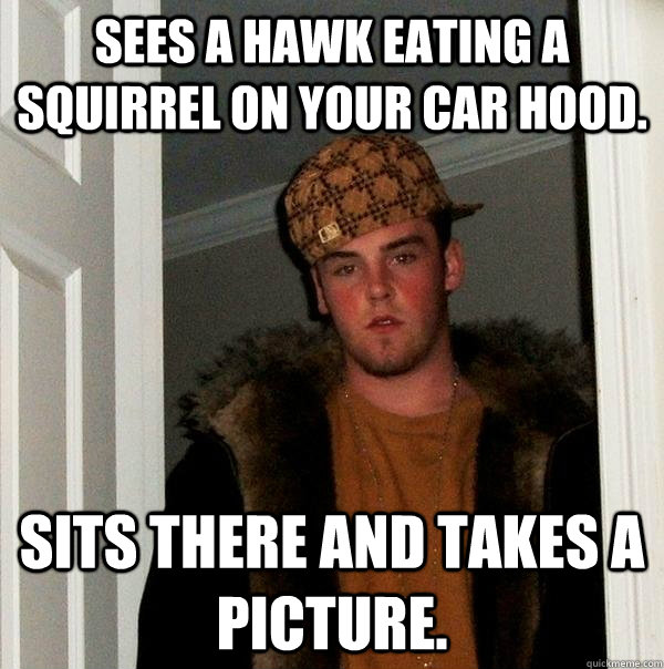 sees a hawk eating a squirrel on your car hood. sits there and takes a picture.  - sees a hawk eating a squirrel on your car hood. sits there and takes a picture.   Scumbag Steve