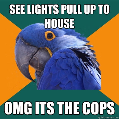 see lights pull up to house omg its the cops  Paranoid Parrot