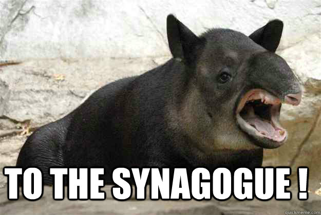 To the synagogue !  Jewish Tapir