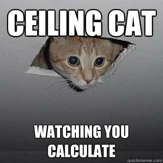 Ceiling Cat Watching you Calculate  Ceiling Cat
