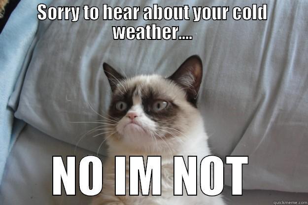 SORRY TO HEAR ABOUT YOUR COLD WEATHER.... NO IM NOT Grumpy Cat