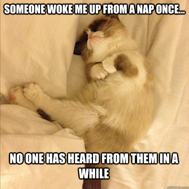 Someone woke me up from a nap once... no one has heard from them in a while  Sleeping Grumpy Cat