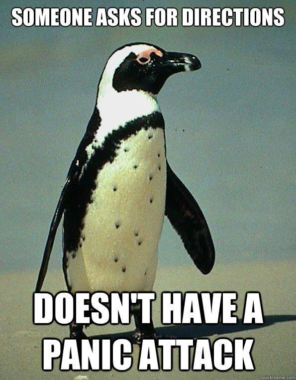 Someone asks for directions doesn't have a panic attack - Someone asks for directions doesn't have a panic attack  Socially Normal Penguin