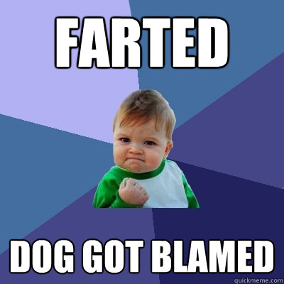 FARTed dog got blamed  Success Kid