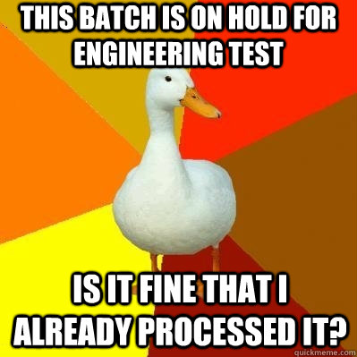 This batch is on hold for engineering test Is it fine that i already processed it? - This batch is on hold for engineering test Is it fine that i already processed it?  Tech Impaired Duck