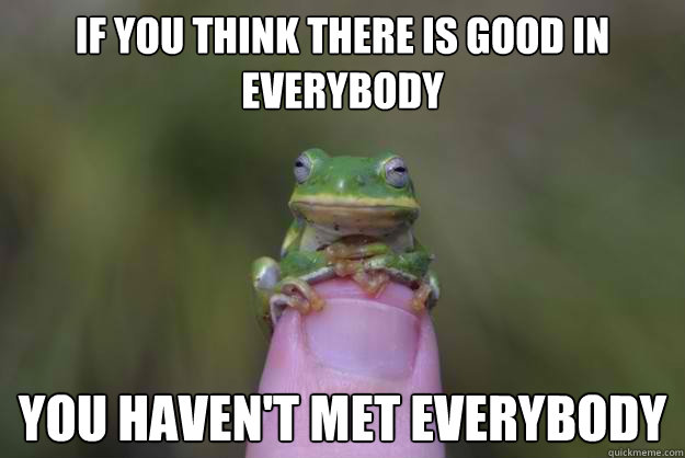 If you think there is good in everybody you haven't met everybody - If you think there is good in everybody you haven't met everybody  Wise Frog