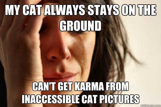 My cat always stays on the ground can't get karma from inaccessible cat pictures - My cat always stays on the ground can't get karma from inaccessible cat pictures  First World Problems