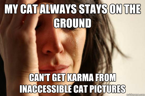 My cat always stays on the ground can't get karma from inaccessible cat pictures  First World Problems