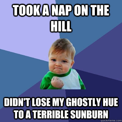 Took a nap on the hill didn't lose my ghostly hue to a terrible sunburn  Success Kid
