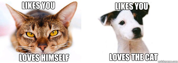 Likes you Loves himself Likes you Loves the cat  The diference between