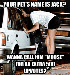 Your pet's name is Jack? Wanna call him 