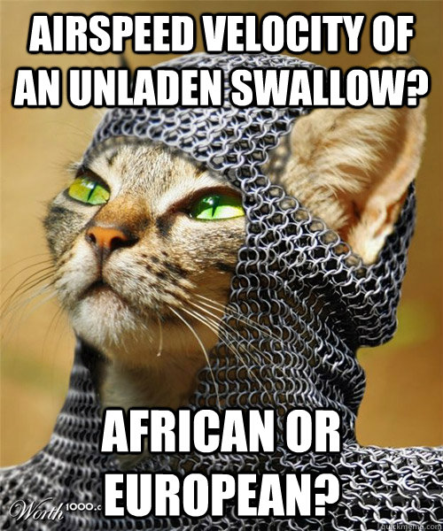 airspeed velocity of an unladen swallow? african or european? - airspeed velocity of an unladen swallow? african or european?  Sir Whiskers