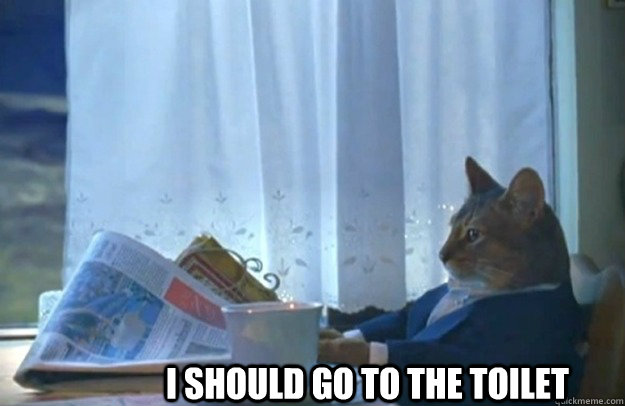 I should go to the toilet  Sophisticated Cat