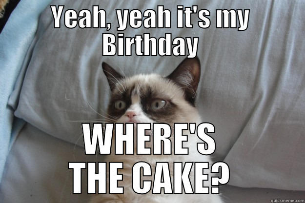 YEAH, YEAH IT'S MY BIRTHDAY WHERE'S THE CAKE? Grumpy Cat