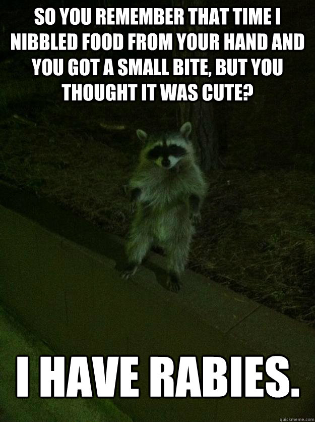 so you remember that time I nibbled food from your hand and you got a small bite, but you thought it was cute? I have rabies.  Asshole Raccoon