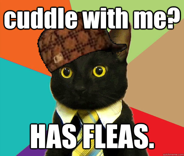 cuddle with me? HAS FLEAS.  Scumbag Cat