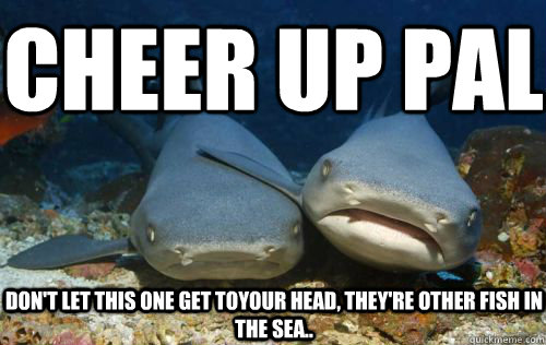 cheer up pal don't let this one get toyour head, they're other fish in the sea.. - cheer up pal don't let this one get toyour head, they're other fish in the sea..  Compassionate Shark Friend