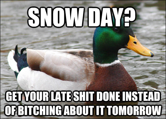 snow day? get your late shit done instead of bitching about it tomorrow  Actual Advice Mallard