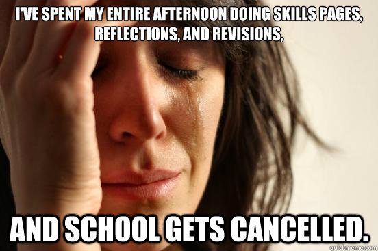 I've spent my entire afternoon doing skills pages,
reflections, and revisions,   and school gets cancelled.  First World Problems
