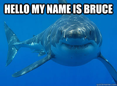 Hello my name is Bruce  - Hello my name is Bruce   Shinfo Shark
