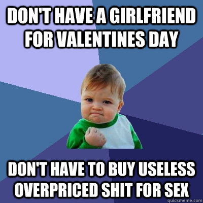 don't have a girlfriend for valentines day don't have to buy useless overpriced shit for sex  Success Kid