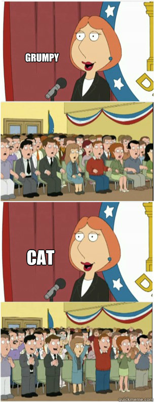GRUMPY CAT - GRUMPY CAT  911 lois