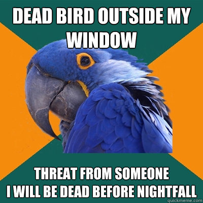 dead bird outside my window threat from someone
I will be dead before nightfall  Paranoid Parrot