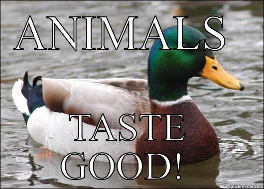 ANIMALS  TASTE GOOD!  Actual Advice Mallard