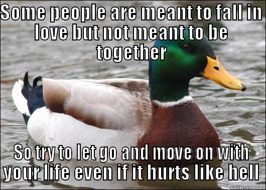 SOME PEOPLE ARE MEANT TO FALL IN LOVE BUT NOT MEANT TO BE TOGETHER SO TRY TO LET GO AND MOVE ON WITH YOUR LIFE EVEN IF IT HURTS LIKE HELL Actual Advice Mallard