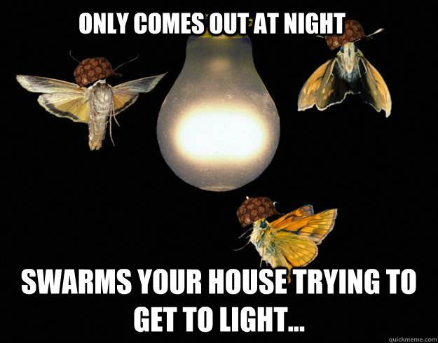 Scumbag Moths memes | quickmeme