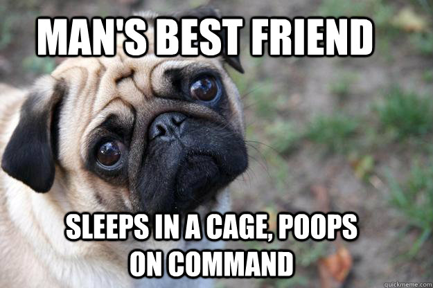 man's best friend sleeps in a cage, poops on command  First World Dog problems