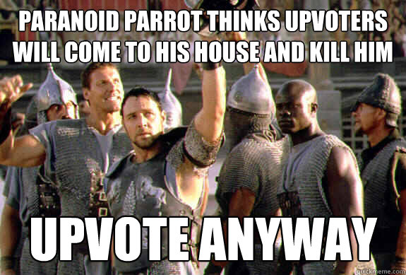 Paranoid parrot thinks upvoters will come to his house and kill him Upvote anyway  Upvoting Maximus