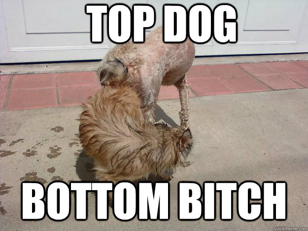 Top dog Bottom bitch  