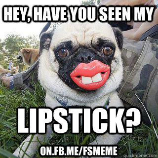 Hey, have you seen my  LIPSTICK? on.fb.me/fsmeme - Hey, have you seen my  LIPSTICK? on.fb.me/fsmeme  Dirty Little Dog