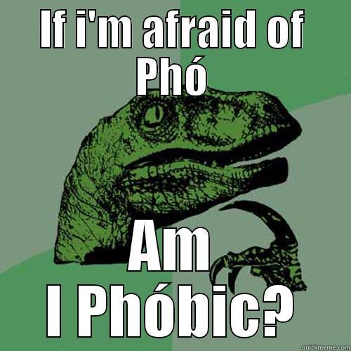 IF I'M AFRAID OF PHÓ AM I PHÓBIC? Philosoraptor