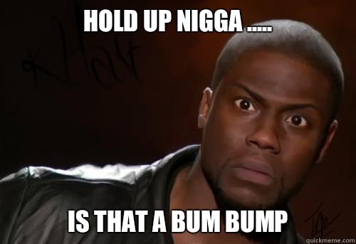 Hold up nigga ..... IS THAT A BUM BUMP  Kevin Hart