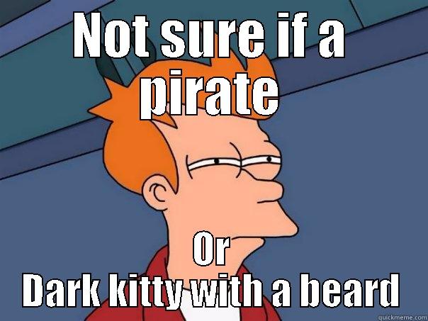 NOT SURE IF A PIRATE OR DARK KITTY WITH A BEARD Futurama Fry
