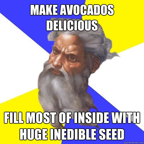 Make avocados delicious  fill most of inside with huge inedible seed  Advice God