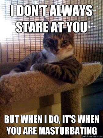 I don't always stare at you but when i do, it's when you are masturbating  - I don't always stare at you but when i do, it's when you are masturbating   The Most Interesting Cat in the World