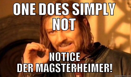 ONE DOES SIMPLY NOT NOTICE DER MAGSTERHEIMER! Boromir