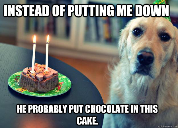 Instead of putting me down he probably put chocolate in this cake.  Sad Birthday Dog