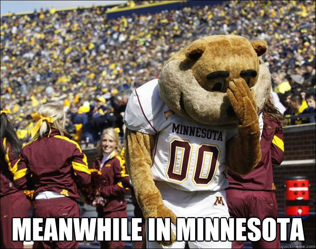  Meanwhile in minnesota -  Meanwhile in minnesota  Disillusioned Gopher